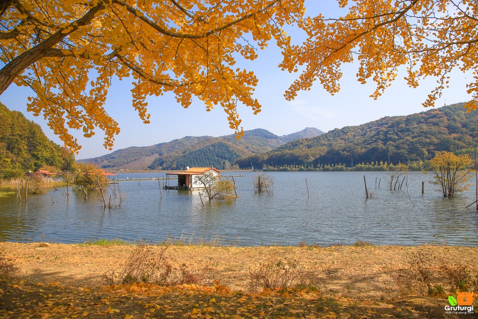 충북 괴산 가볼만한곳 충청도 여행지 괴산 문광저수지 단풍