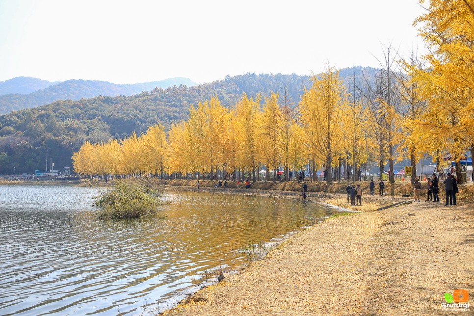 충북 괴산 가볼만한곳 충청도 여행지 괴산 문광저수지 단풍