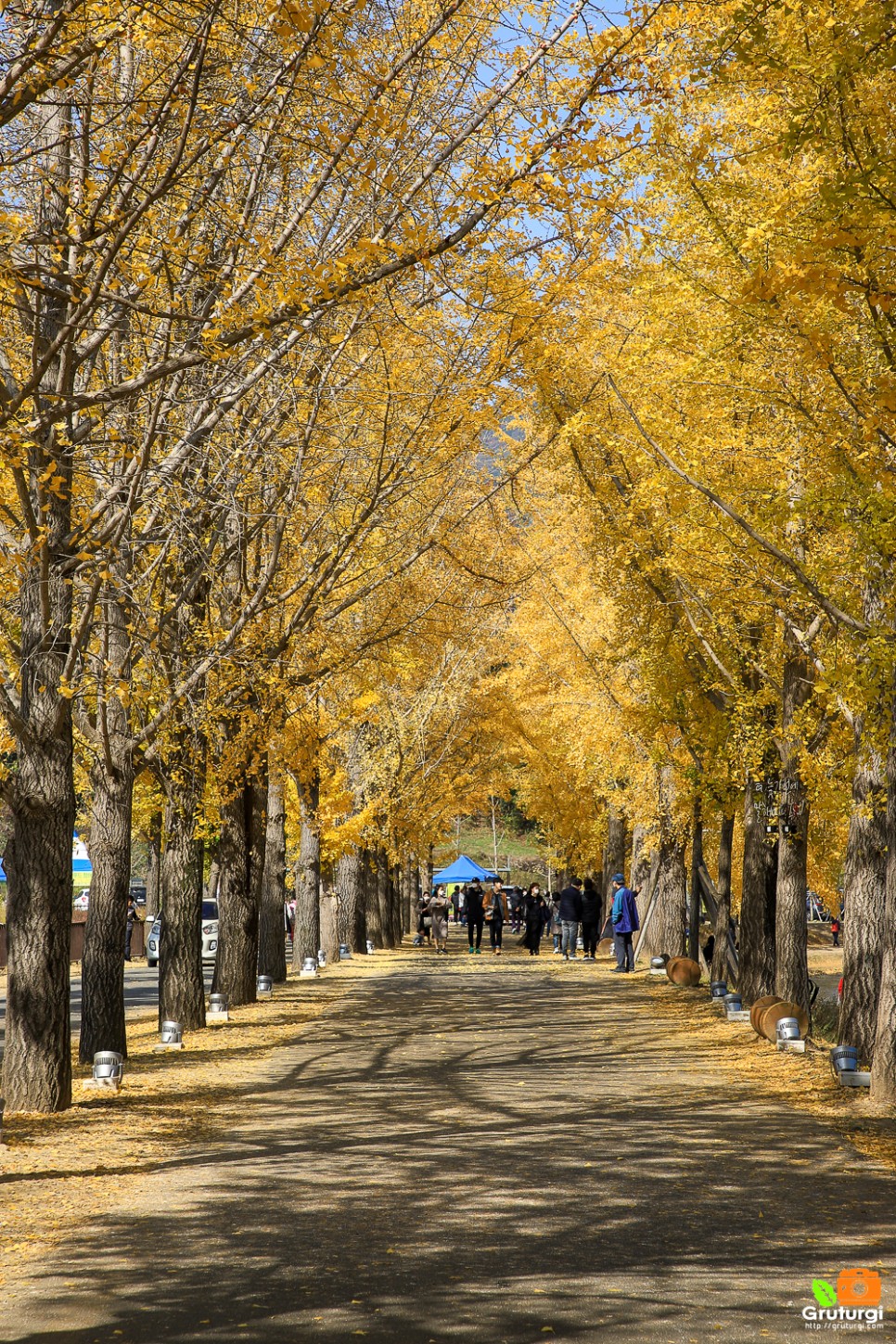 충북 괴산 가볼만한곳 충청도 여행지 괴산 문광저수지 단풍