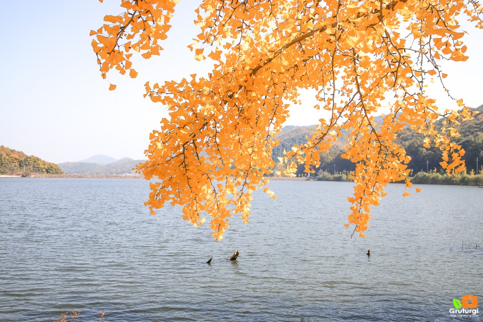 충북 괴산 가볼만한곳 충청도 여행지 괴산 문광저수지 단풍