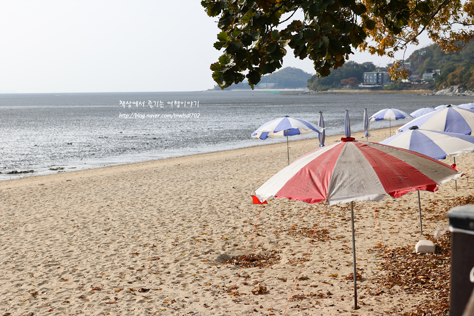 인천 강화도 해수욕장 볼거리 동막해변 갯벌 바닷가 주차