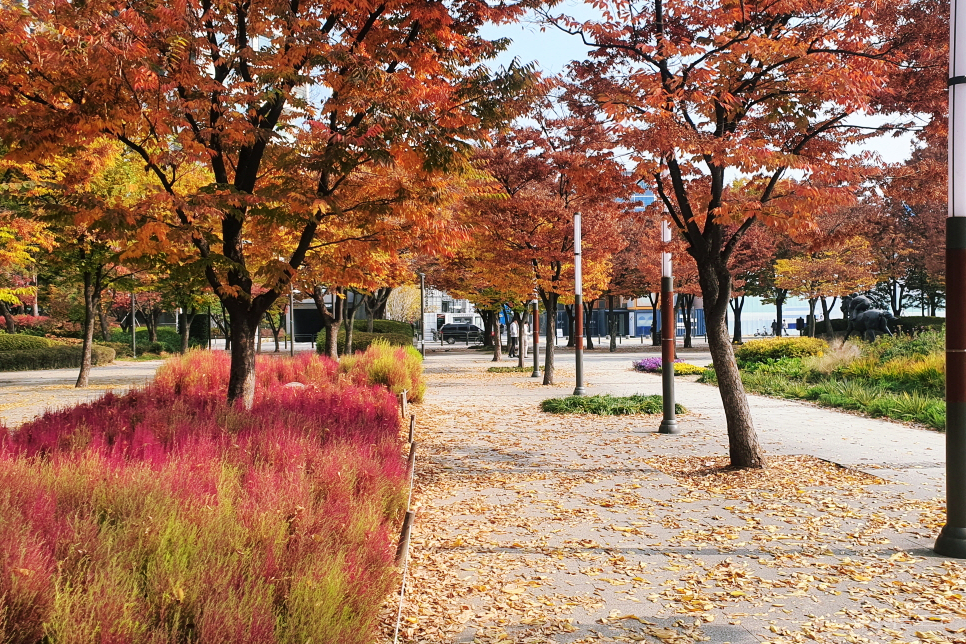 성수동 서울숲 단풍 구경과 사슴 산책로가 있는 서울 관광지