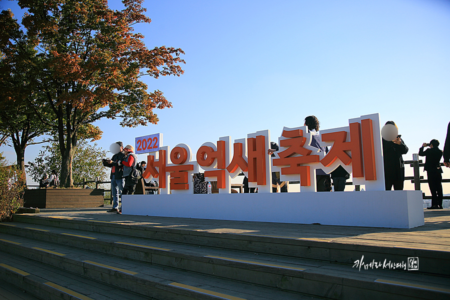 서울 상암 하늘공원 억새축제 주말 나들이 서울 축제 핫플 명소 경치좋은곳