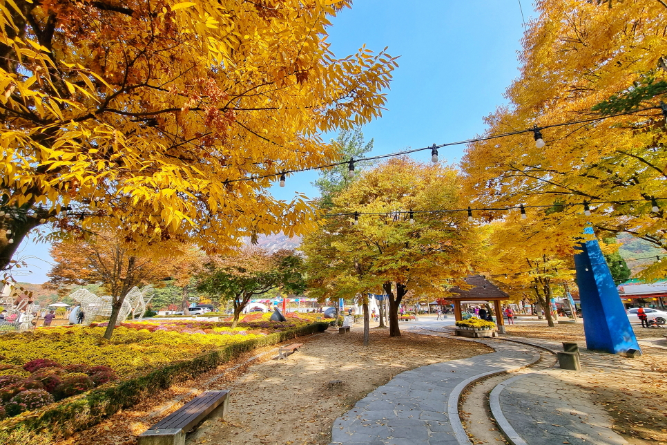 서울 근교 갈만한곳 가을 단풍 명소 포천 산정호수 둘레길 외