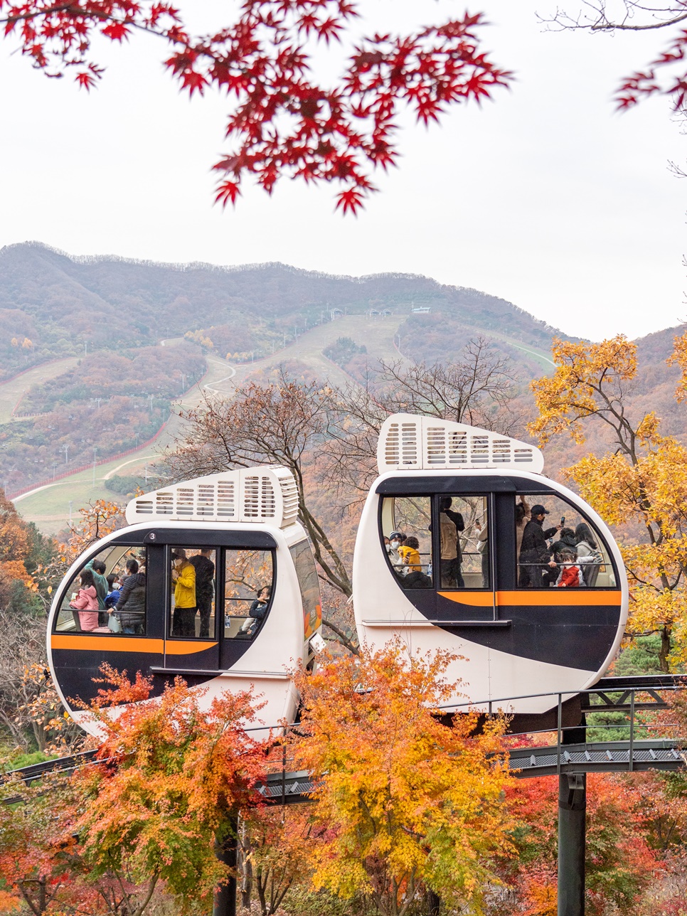 경기도 광주 가볼만한곳 곤지암 화담숲 모노레일 (+ 화담숲 예약)