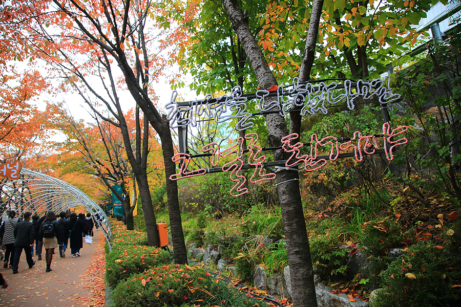 잠실 석촌호수 가을 단풍명소 서울 혼자여행 놀만한곳 잠실 데이트 놀거리