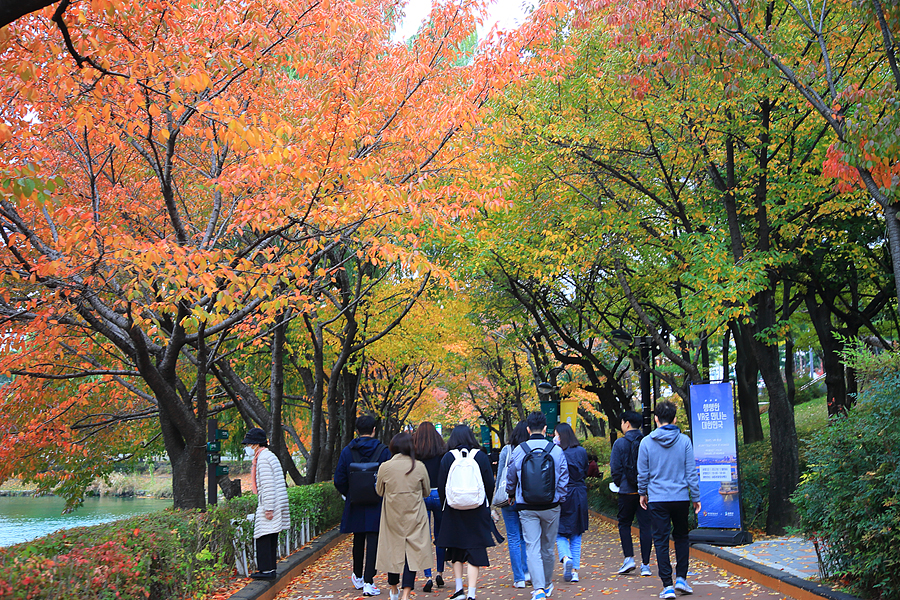 잠실 석촌호수 가을 단풍명소 서울 혼자여행 놀만한곳 잠실 데이트 놀거리