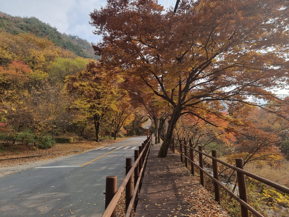 원주 가볼만한곳 치악산 국립공원 구룡사, 둘레길 단풍 구경
