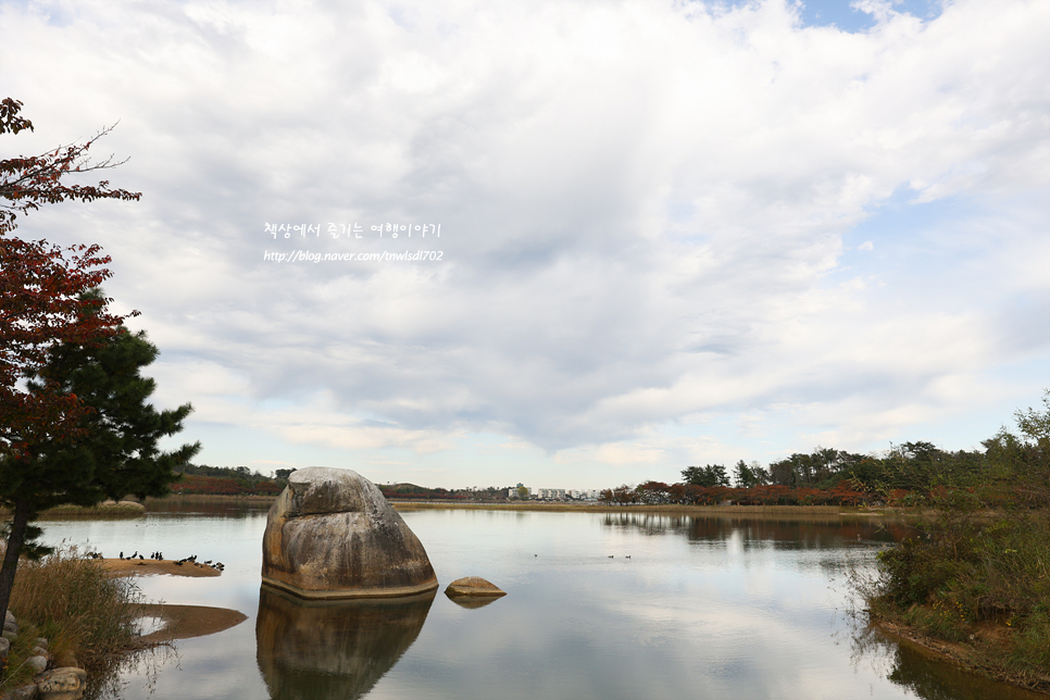 속초 영랑호 주말 드라이브 영랑호습지생태공원 가을 나들이
