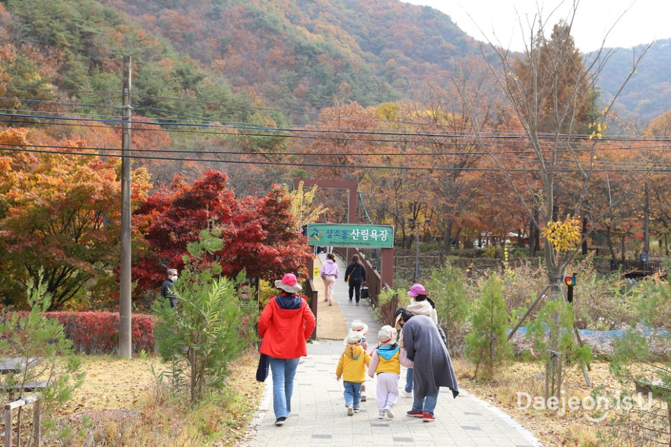 수채화 같은 풍경 담은 대전의 가을 단풍 명소_ 상소동 산림욕장과 만인산 자연휴양림