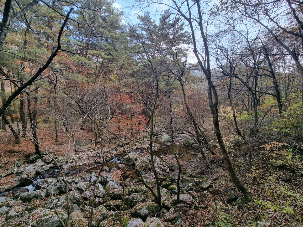 원주 가볼만한곳 치악산 국립공원 구룡사, 둘레길 단풍 구경