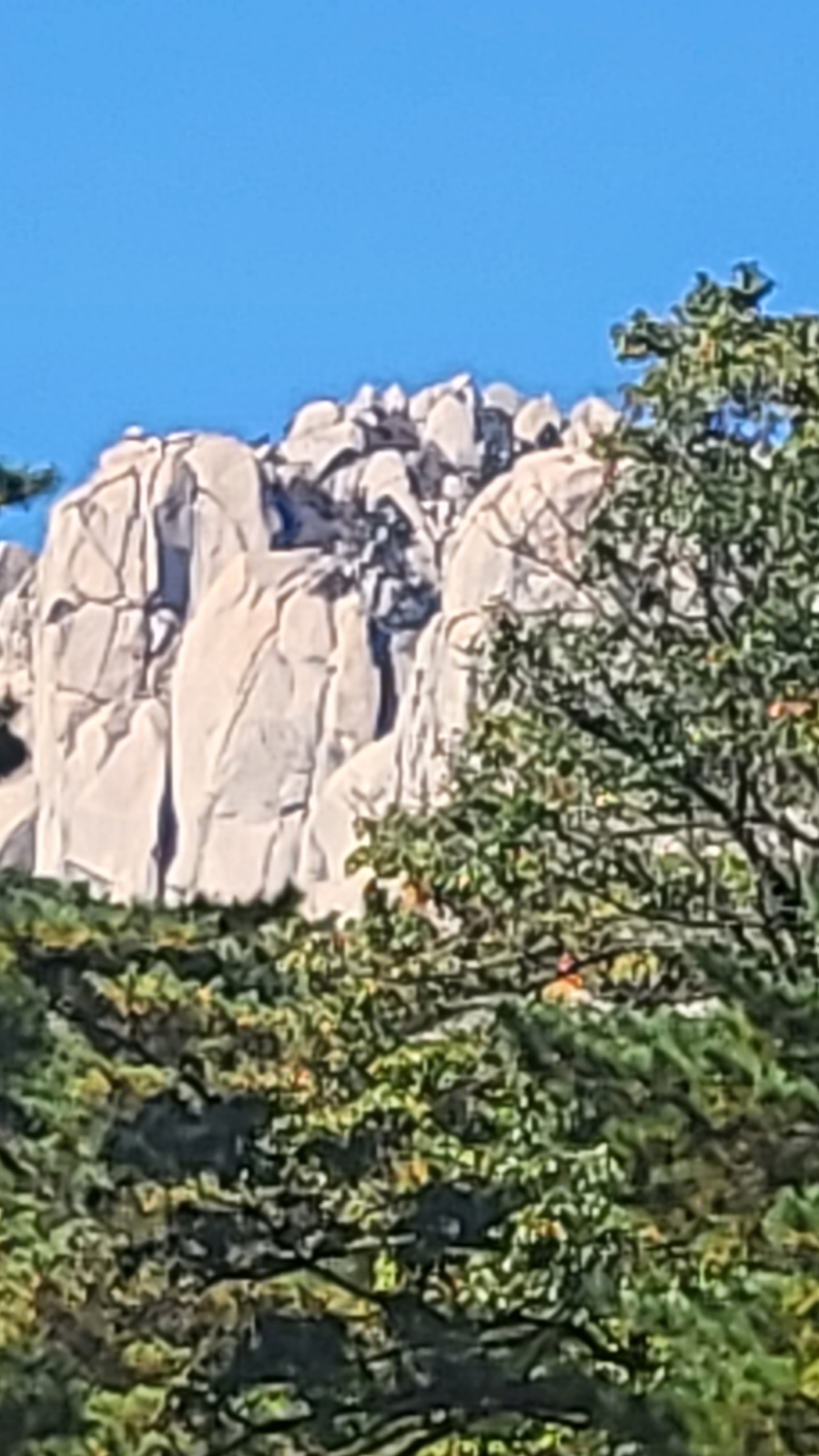 설악산 여행 1박2일 경희애문화. 케이블카 타러