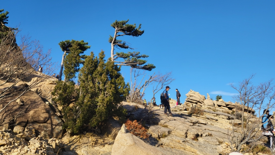 설악산 여행 1박2일 경희애문화. 케이블카 타러