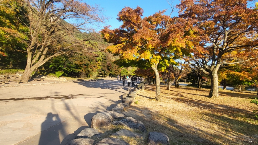 설악산 여행 1박2일 경희애문화. 케이블카 타러