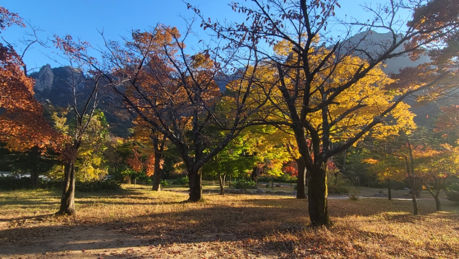 설악산 여행 1박2일 경희애문화. 케이블카 타러