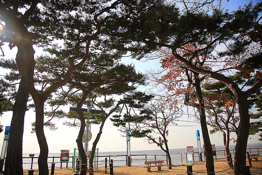강화도 가볼만한곳 볼거리 인천 놀만한곳 서울근교 당일치기 여행