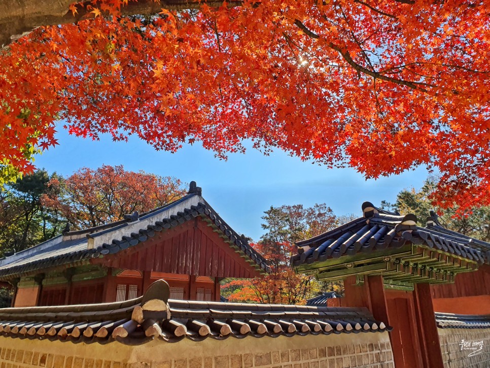 서울 단풍 명소 종묘 운현궁 가을 데이트 가볼만한곳