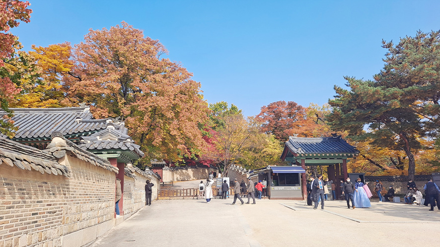 서울 단풍 명소 창덕궁 나들이 가볼만한곳