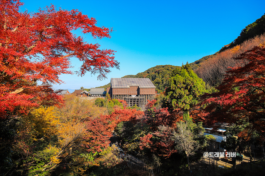 11월 일본여행지 추천 교토여행 단풍명소 구경