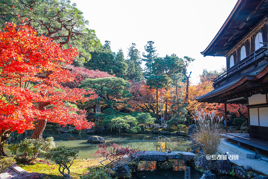 11월 일본여행지 추천 교토여행 단풍명소 구경