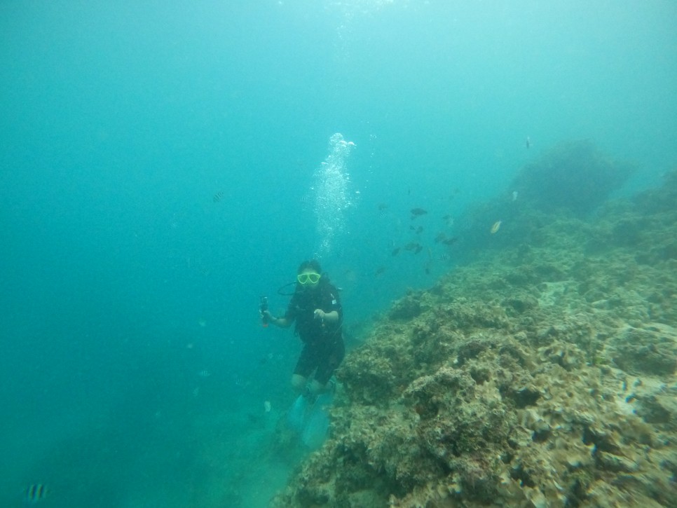 괌 스쿠버다이빙, 놀다괌 맥제이스쿠버 체험다이빙 후기