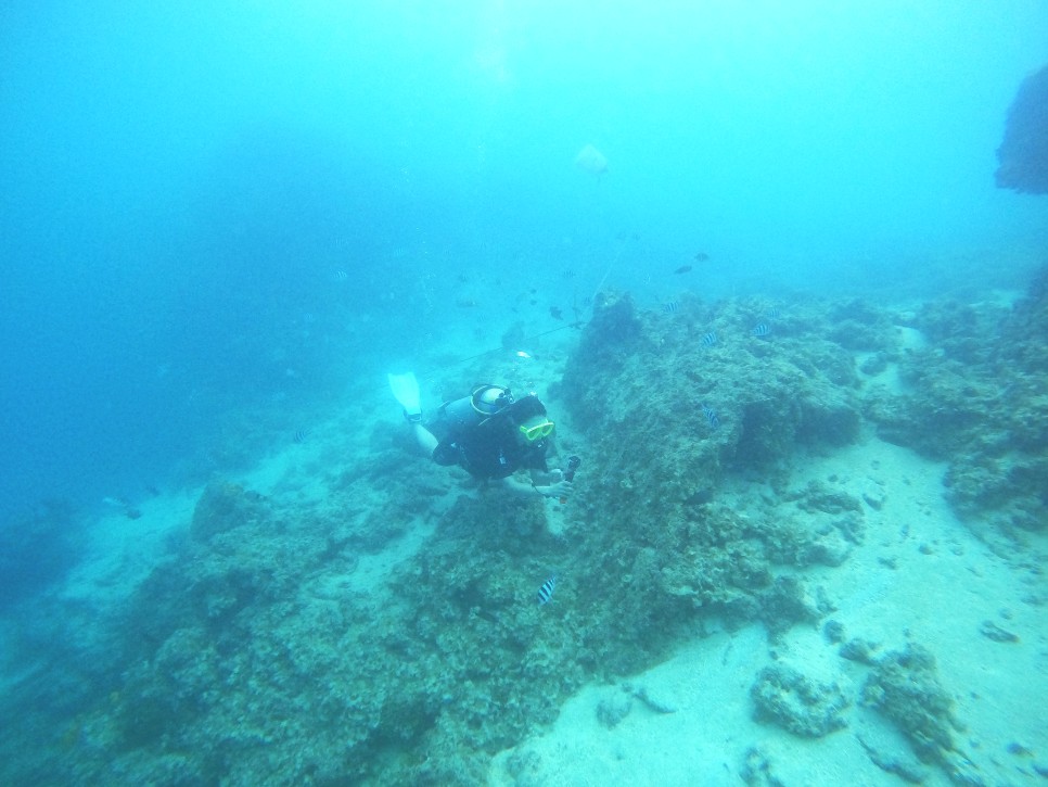 괌 스쿠버다이빙, 놀다괌 맥제이스쿠버 체험다이빙 후기