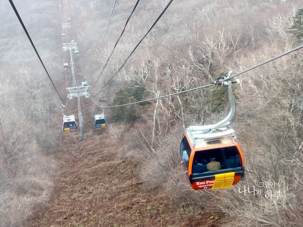 용평리조트 천년주목숲길 강원도1박2일 코스 나도 고고