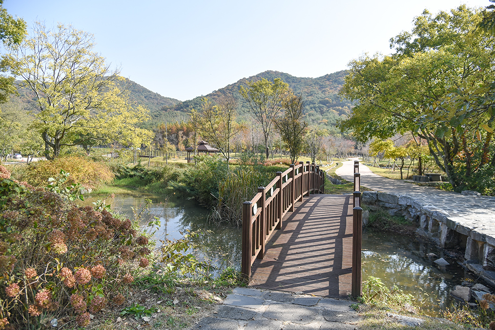 고창 여행 갈만한곳 운곡람사르습지 농특산물 시골농촌체험까지