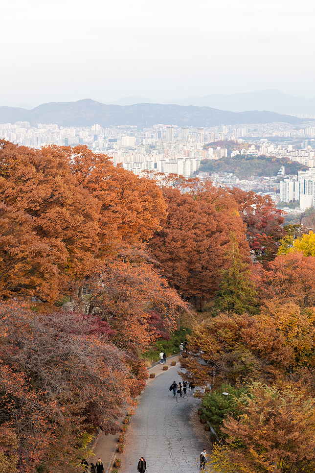 서울 남산타워 둘레길코스 산책로 백범광장 서울 단풍명소