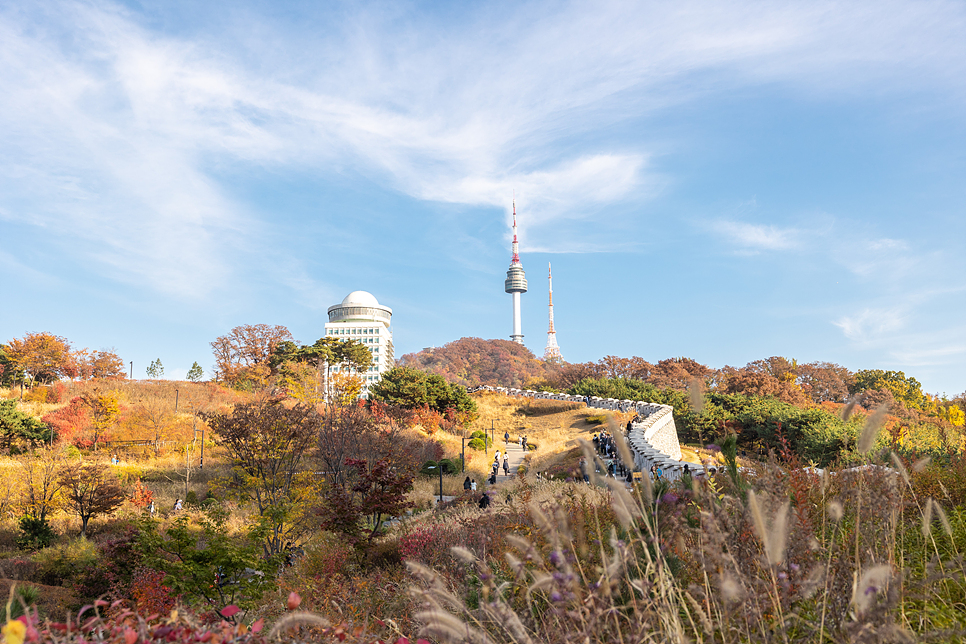 서울 남산타워 둘레길코스 산책로 백범광장 서울 단풍명소