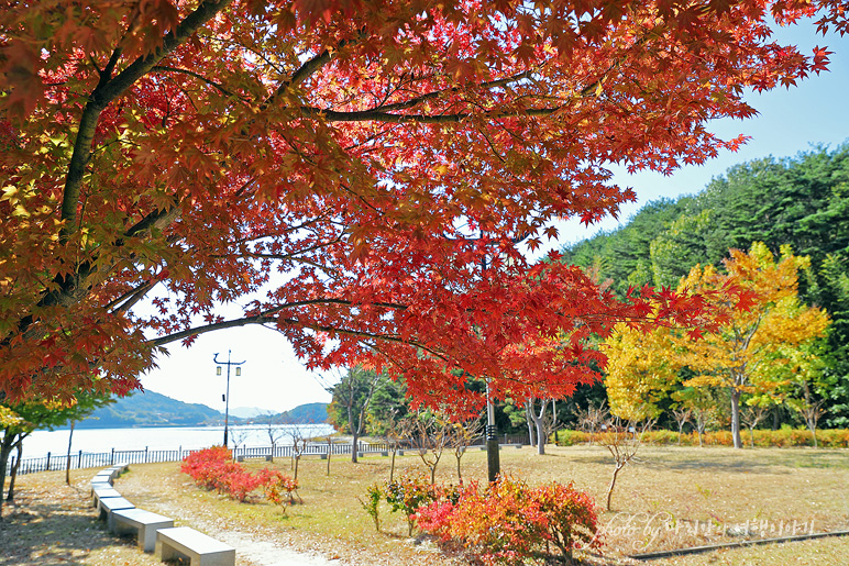 남해 대교 지나 이순신 순국공원 남해 드라이브 코스