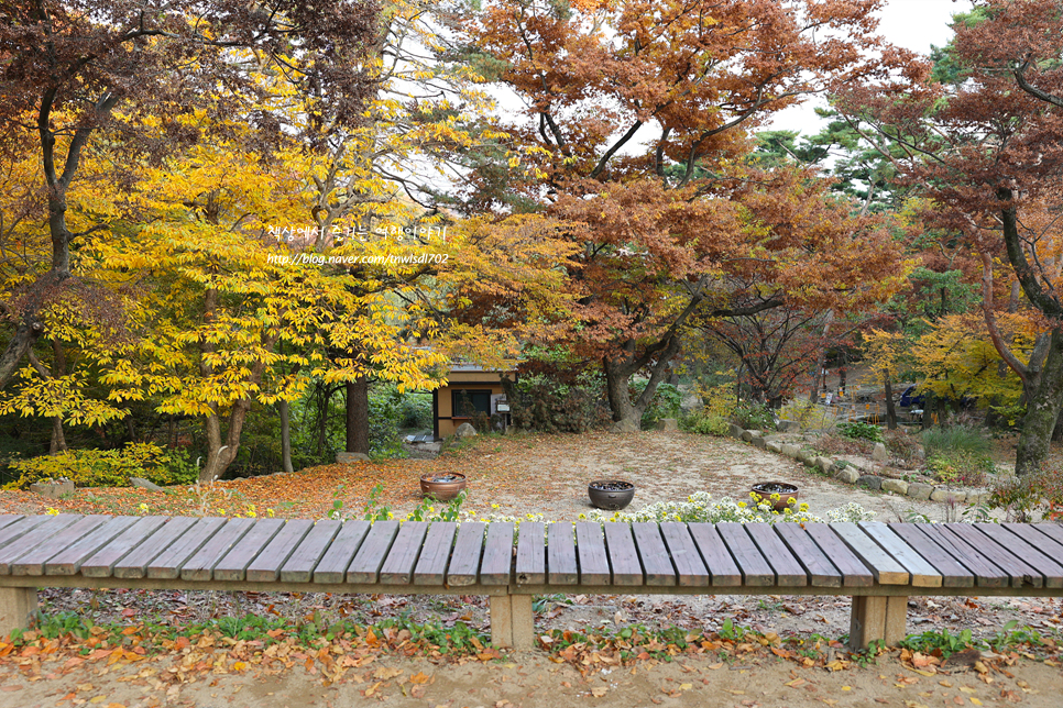 인천 강화도 전등사 사찰 절 단풍명소 인천 가볼만한 섬여행 주차장