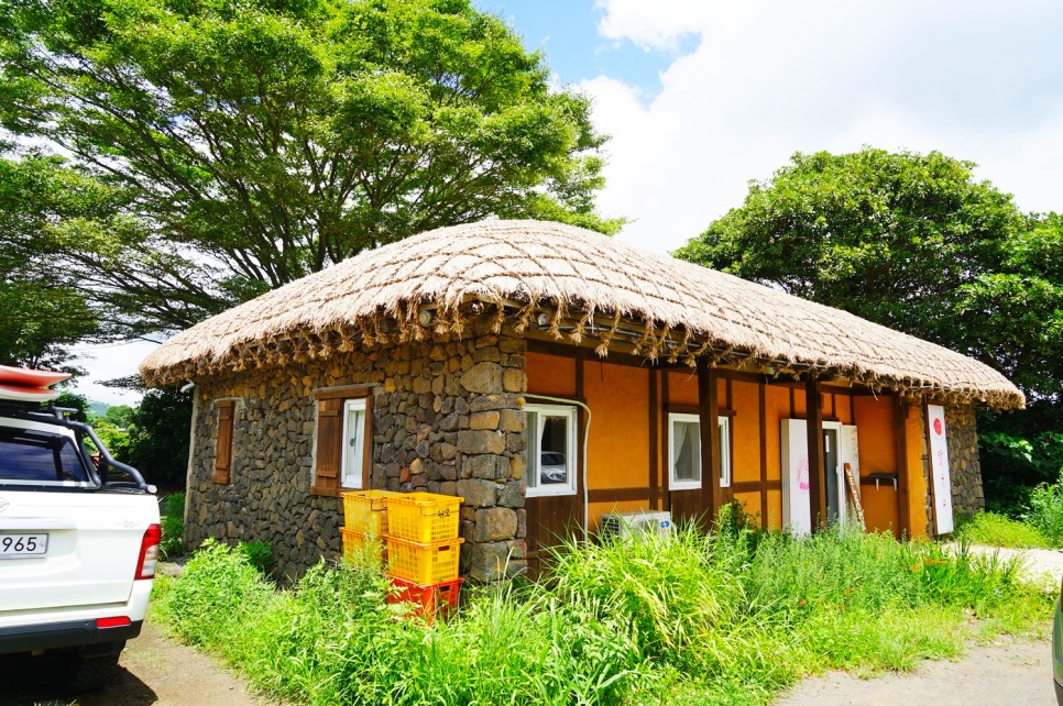 제주 보말칼국수 제주 보말죽 서귀포 식당 장수상회