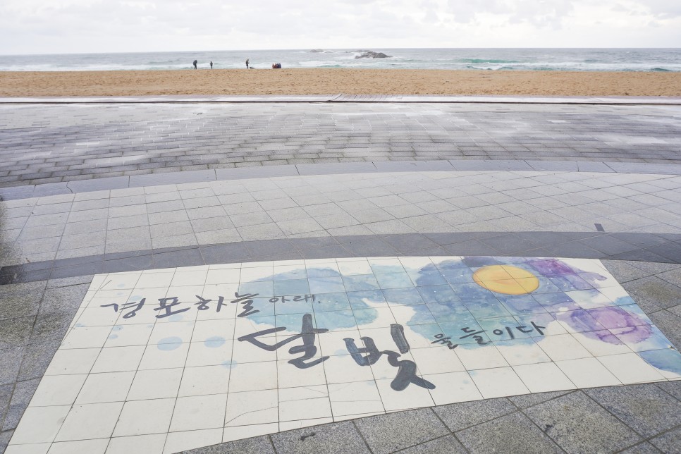 강릉 경포해변에서 강릉 중앙시장 먹거리 싸들고 강릉펜션추천 후기