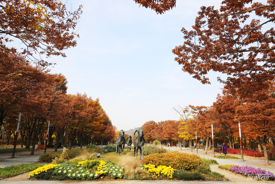 성수동 서울숲 단풍 은행나무길 서울 산책로, 주차 정보