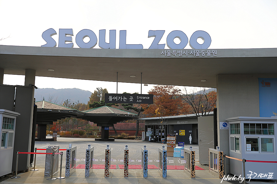 국내 여행지 추천 과천 서울대공원 동물원 단풍 여행