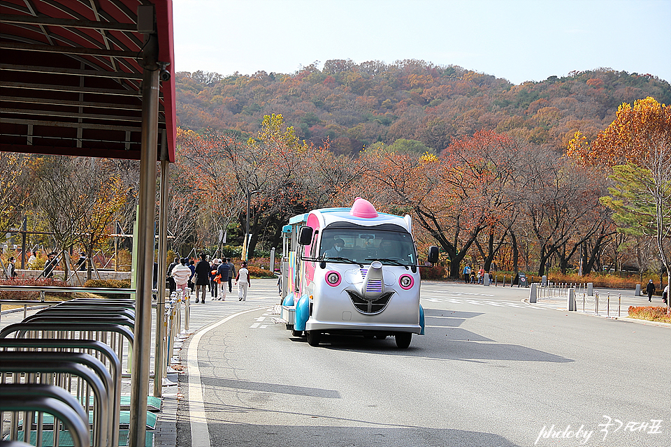 국내 여행지 추천 과천 서울대공원 동물원 단풍 여행