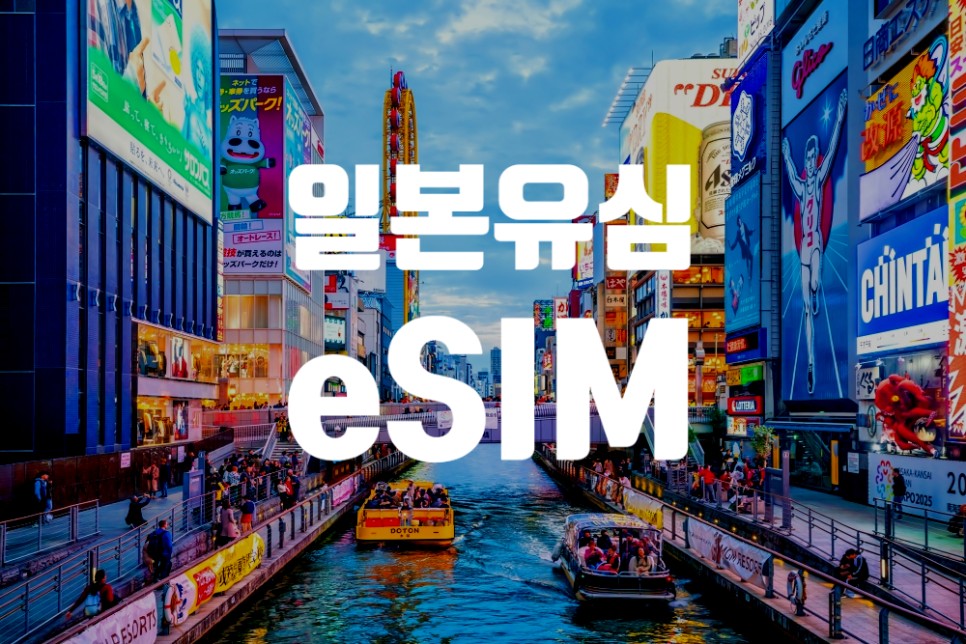 일본 유심 VS 일본 eSIM(e심) 사용 방법 공략 구매 팁