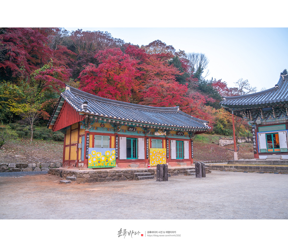 전남 여행 장성 가볼만한곳 백양사 단풍 여행