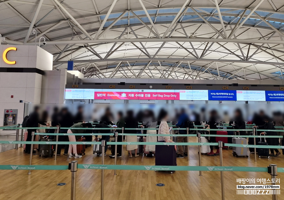 대만여행 타이베이 항공권 예매팁 아시아나항공 탑승 기내식 후기