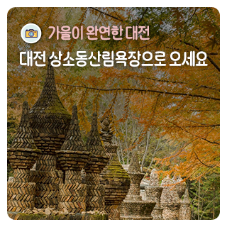 가을이 완연한 대전 상소동산림욕장