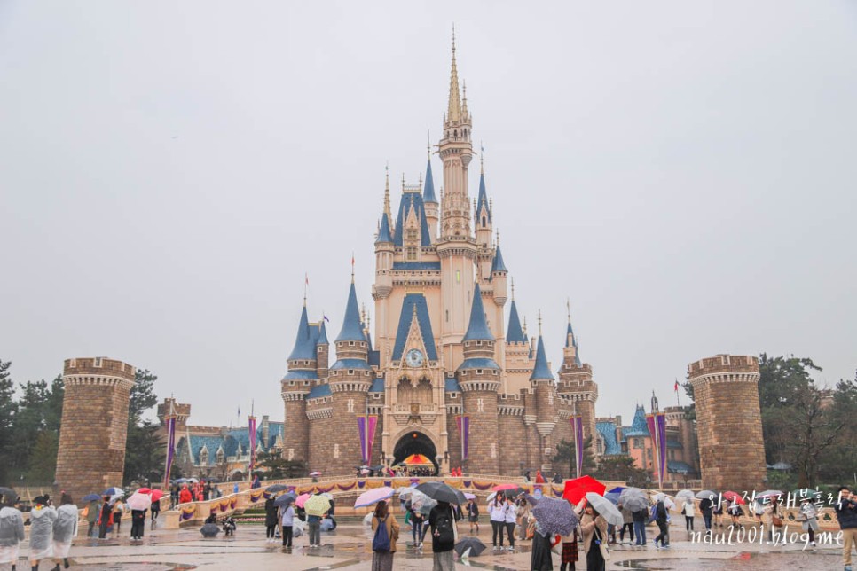 일본 도쿄 디즈니랜드 디즈니씨 티켓 입장권 예약 퍼레이드 시간