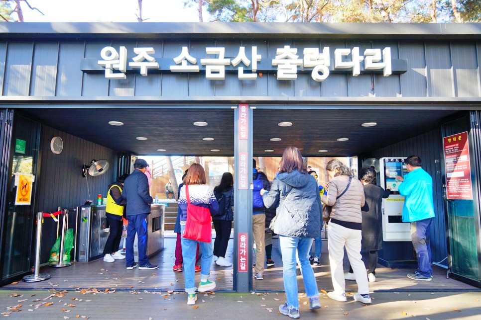 국내 1박2일 여행지 강원도 원주 가을 국내 여행 추천