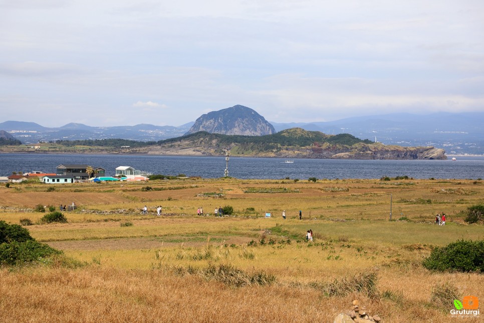 서귀포 여행코스 제주 가파도 배시간 자전거 국내 섬여행