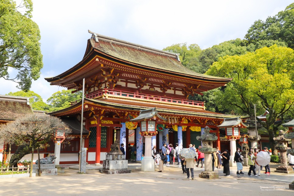 일본 포켓와이파이 도시락 대여 후쿠오카 여행 일정 2박3일