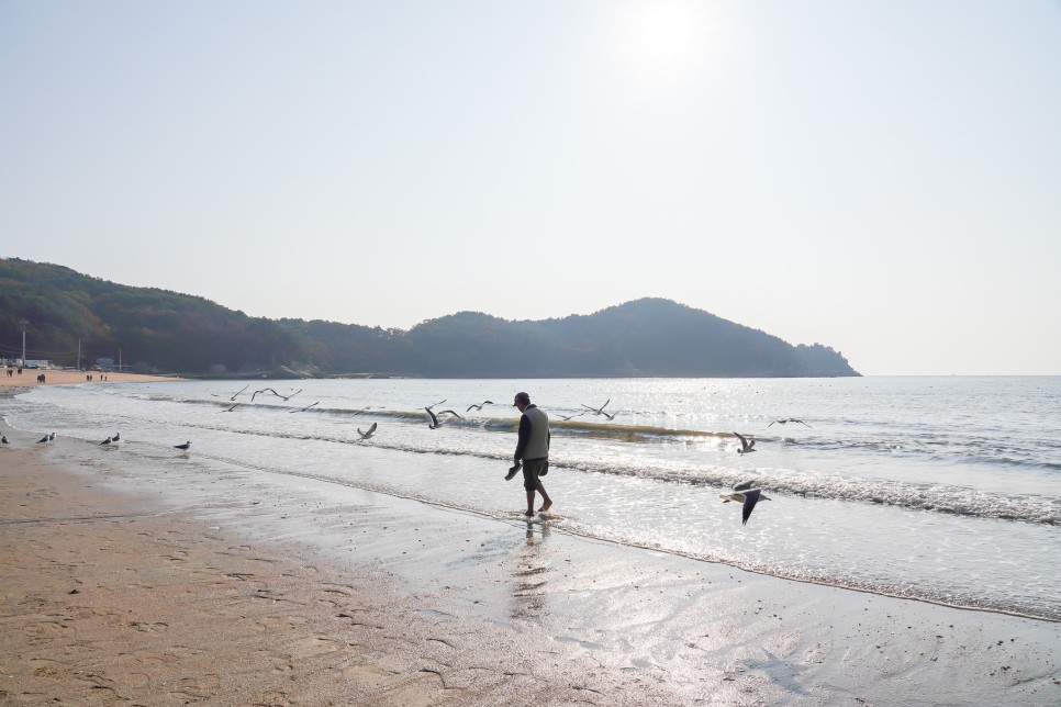 인천 바다 영종도 갈만한곳 을왕리 해수욕장 국내 바다 여행 추천