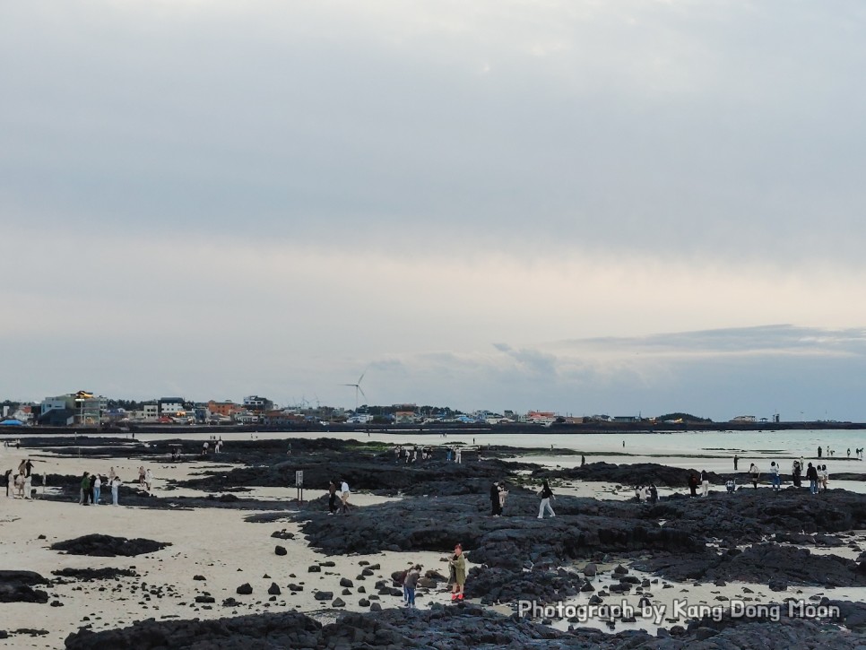 12월 제주도 가볼만한곳 제주도 3박4일 여행코스 좋은 날씨 초 겨울 제주 여행