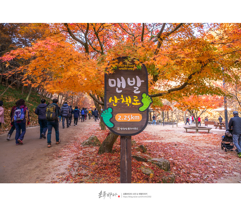 국내 여행지 추천 순창 강천산 강천사 순창 가볼만한곳