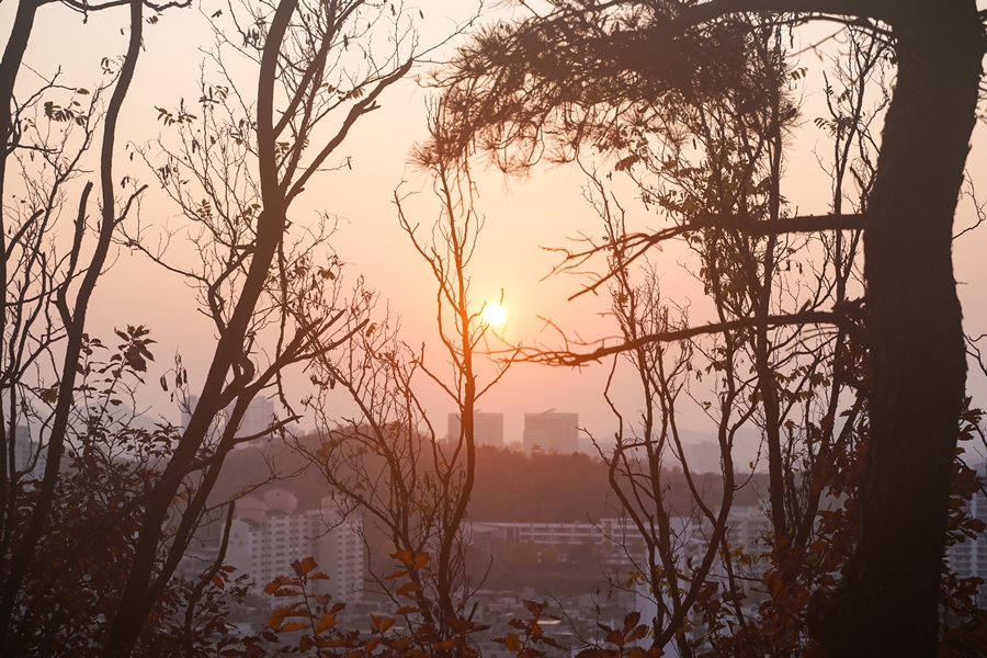 겐코, NOSTALTONE Orange 감성사진 효과 카메라필터