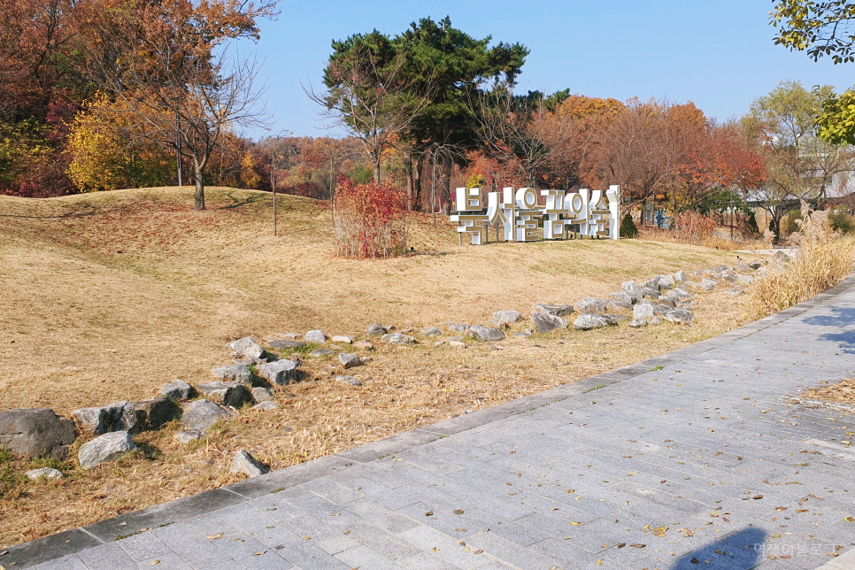 가을 국내 여행 북서울 꿈의숲 단풍 국내 여행지 추천 걷기좋은길